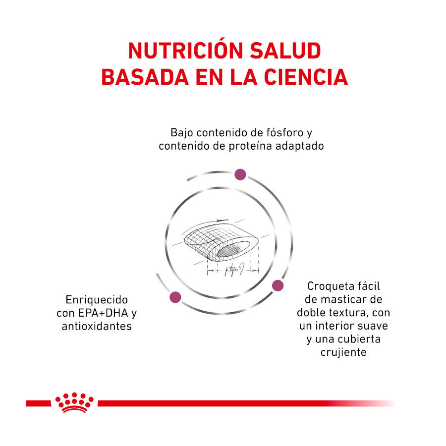 4 kg Royal Canin Veterinary Renal Select pienso para gatos, , large Imagen numero 4