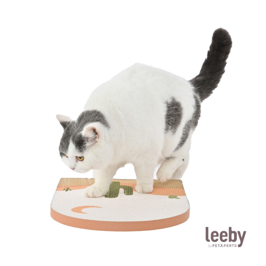 Leeby Darcy tabla rascador de cart&oacute;n para gatos, , large Imagen numero 4