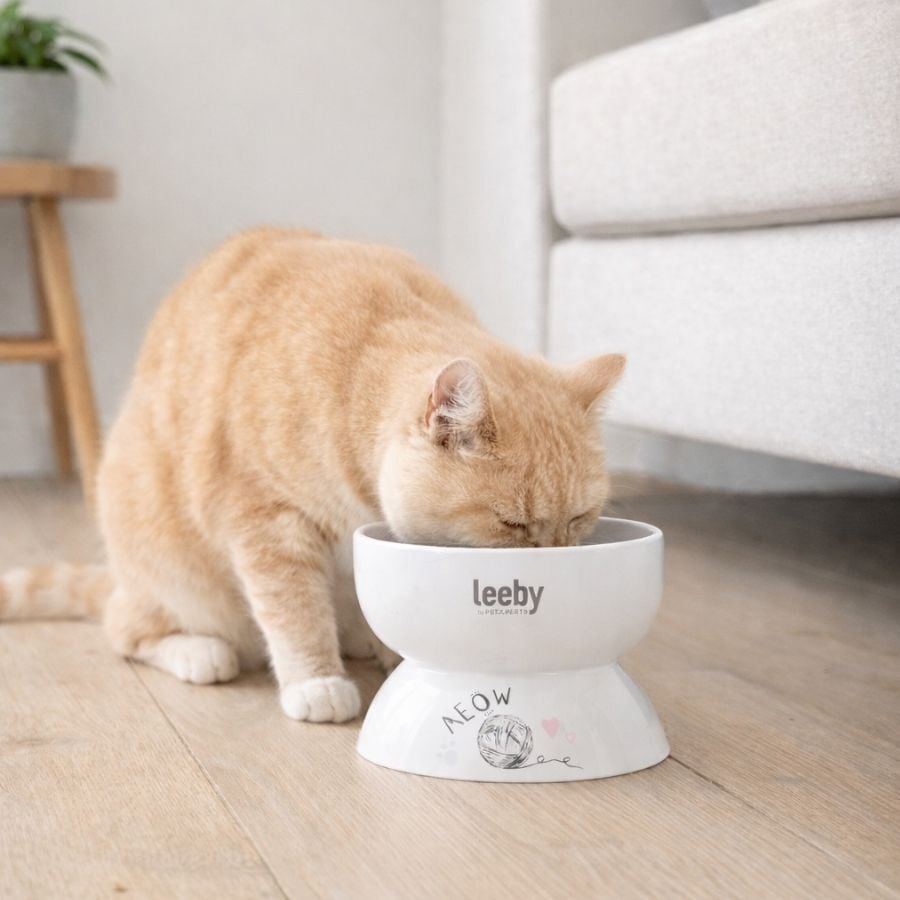 Leeby Comedero Elevado de Cer&aacute;mica Blanco para gatos, , large indicador imagen numero 1