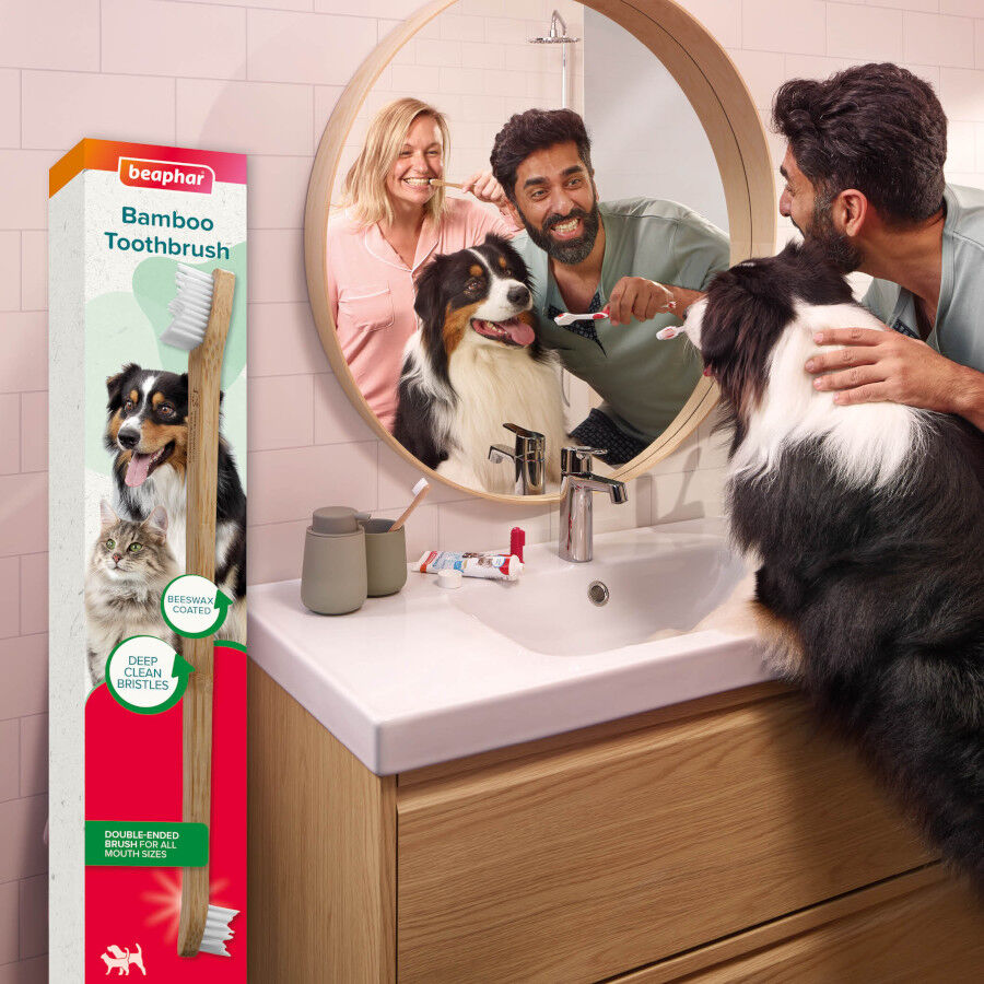Beaphar Cepillo Dental de Bamb&uacute; para Perros y Gatos, , large Imagen numero 5