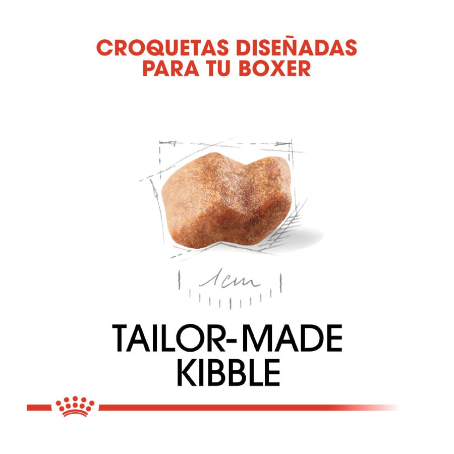 12 kg Royal Canin Puppy Boxer pienso para perros, , large Imagen numero 5
