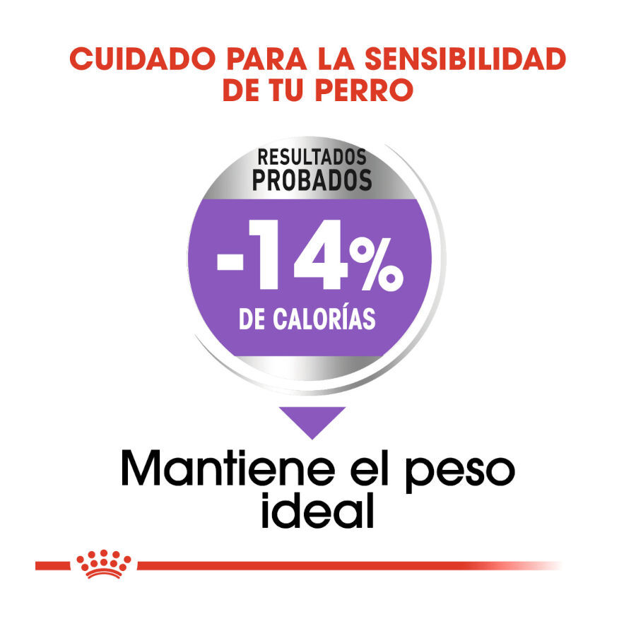 8 kg Royal Canin Sterilised Mini pienso para perros, , large Imagen numero 6