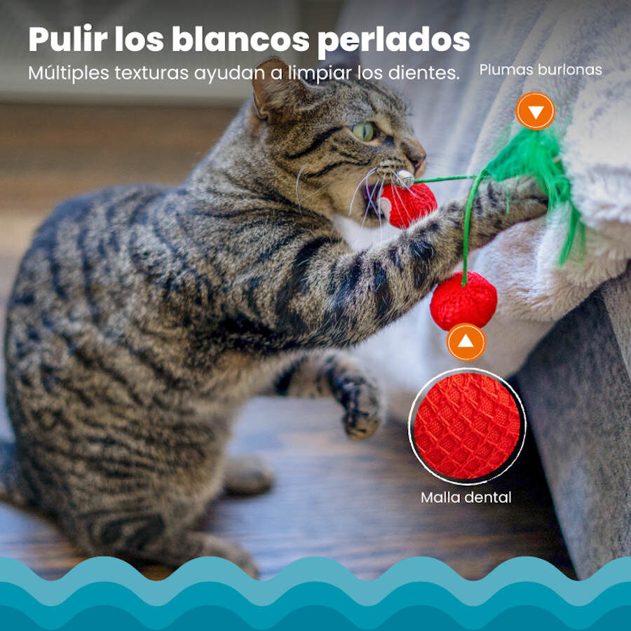 Catstages Dental Cherries Peluche Suave de Cerezas para gatos, , large indicador imagen numero 5
