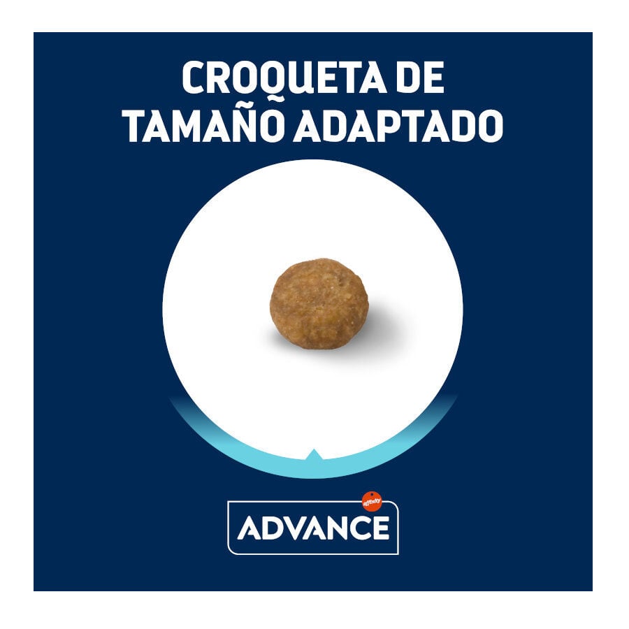 7 kg Advance Active Defense Mini Puppy pienso para perros, , large Imagen numero 2