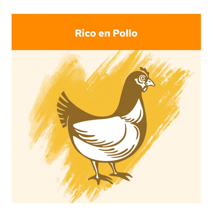 15 kg Cat Chow Adult Pollo Pienso para gatos, , large indicador imagen numero 3