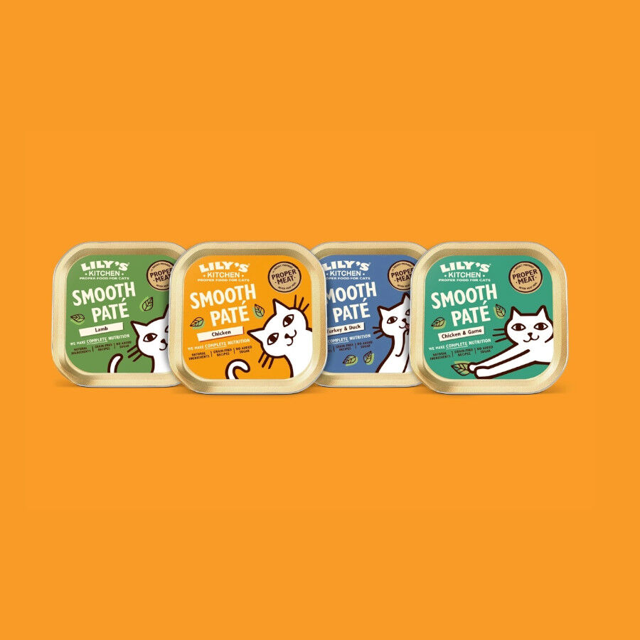 8 tarrinas x 85 g Lily's Kitchen Feline Smooth Selection pat&eacute; tarrinas , , large Imagen numero 3