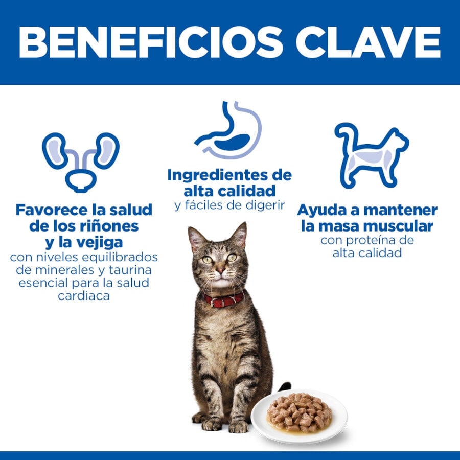 85 g Hill's Science Plan Adult Pavo sobre para gatos, , large indicador imagen numero 5