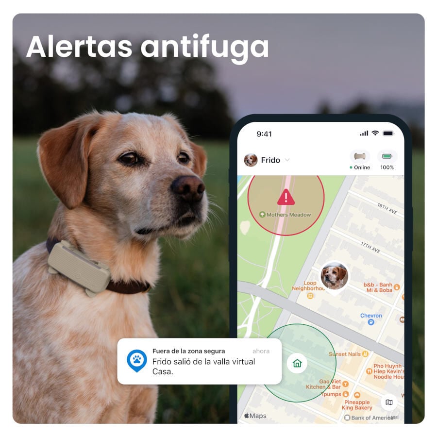 Tractive GPS Dog 6 Menta Rastreador para perros, , large Imagen numero 10