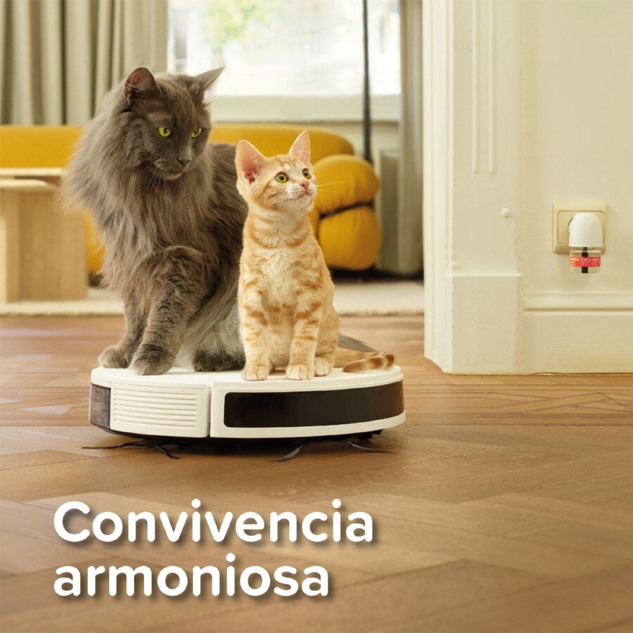 Beaphar CatComfort Excellence Difusor de Feromonas para gatos, , large Imagen numero 6