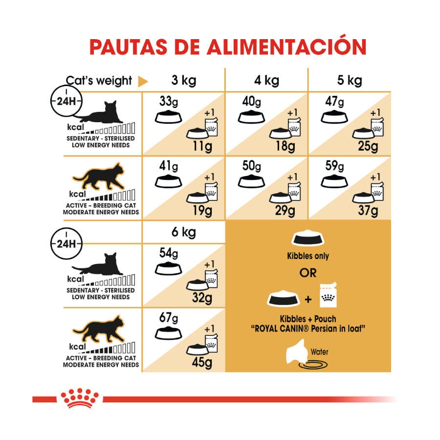 10 kg Royal Canin Persian pienso para gato adulto persa, , large indicador imagen numero 8