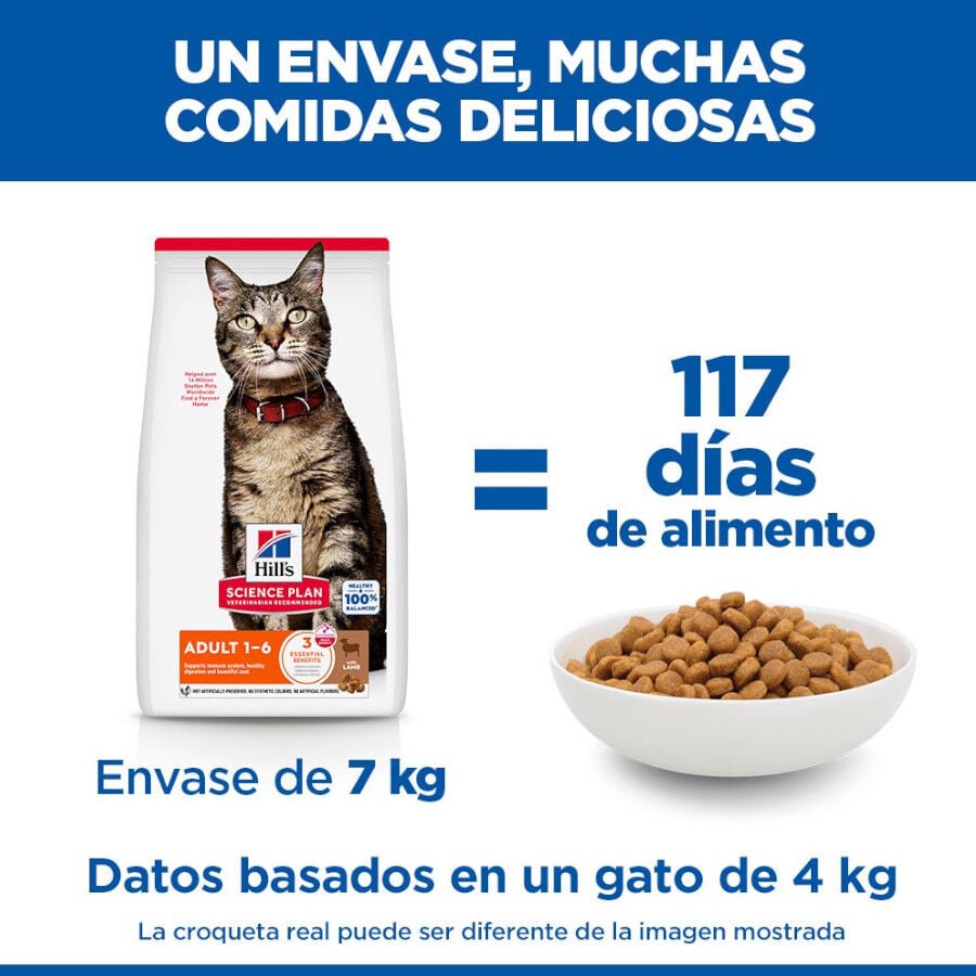 10 kg Hill's Science Plan Adult Cordero pienso para gatos, , large indicador imagen numero 6