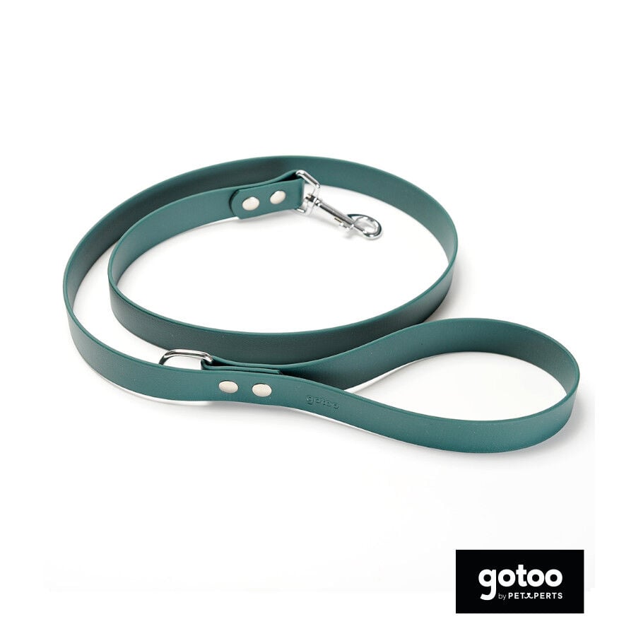Gotoo Correa Biothane verde para perros, , large indicador imagen numero 2
