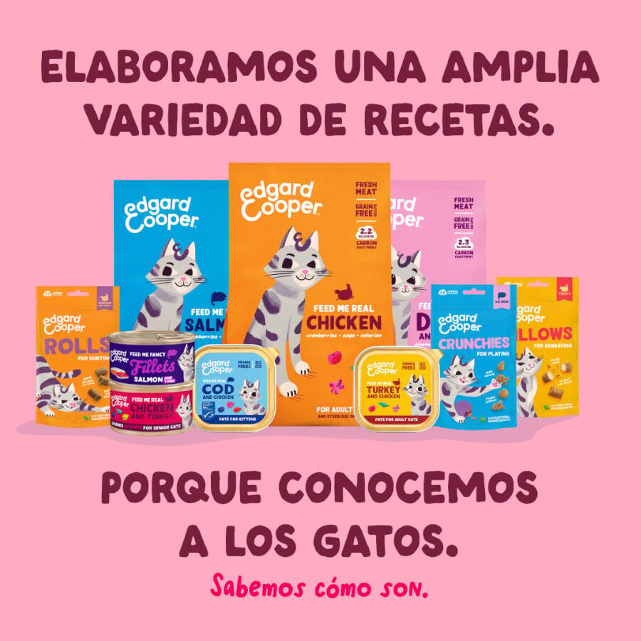 70 g Edgard & Cooper Filetes de Pollo y Gambas Lata para gatos, , large Imagen numero 8