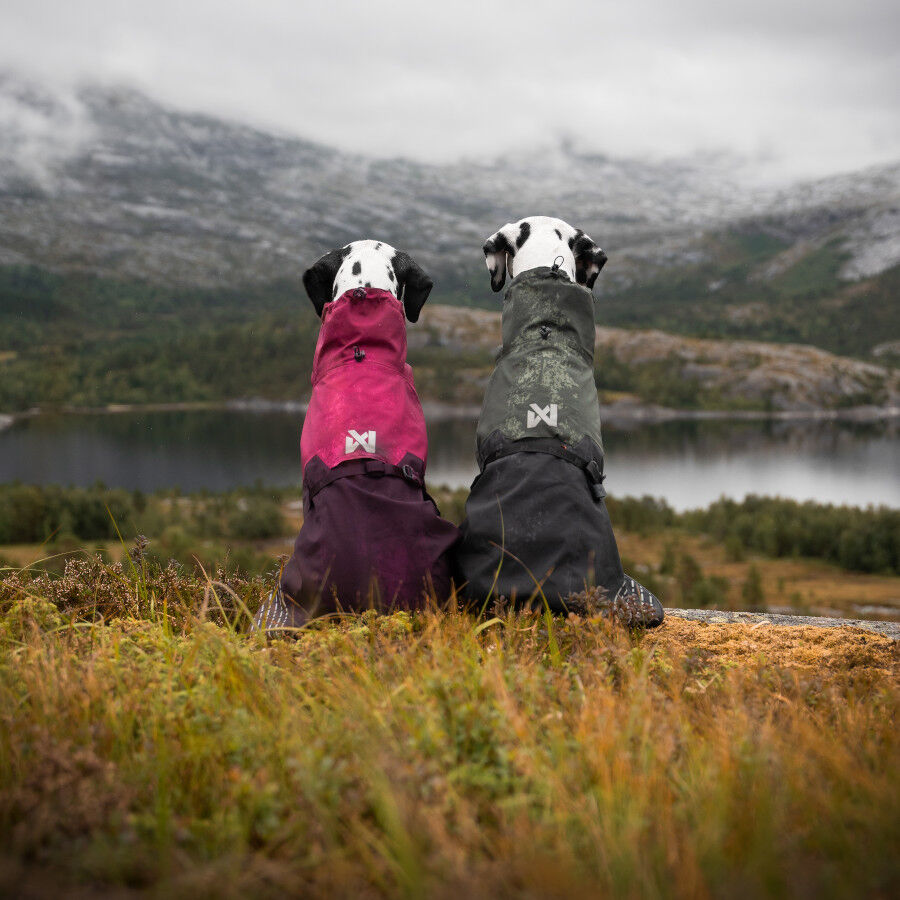 Non-stop dogwear Fjord Chubasquero Impermeable Negro y Verde para perros, , large indicador imagen numero 8