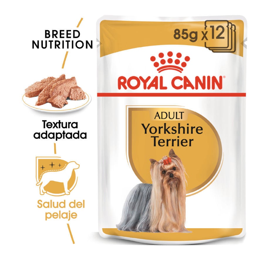 85 g Royal Canin Yorkshire Terrier sobre para perros , , large Imagen numero 2
