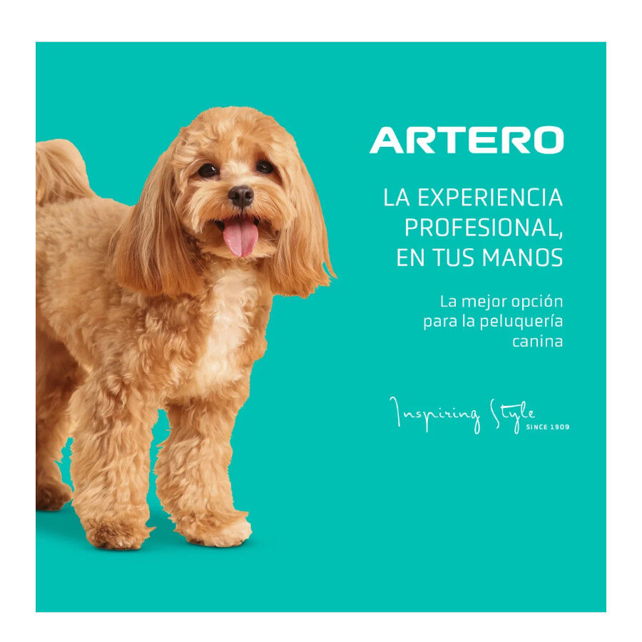 Artero Exo Secador Gris Clarito y Amarillo para perros y gatos, , large Imagen numero 5