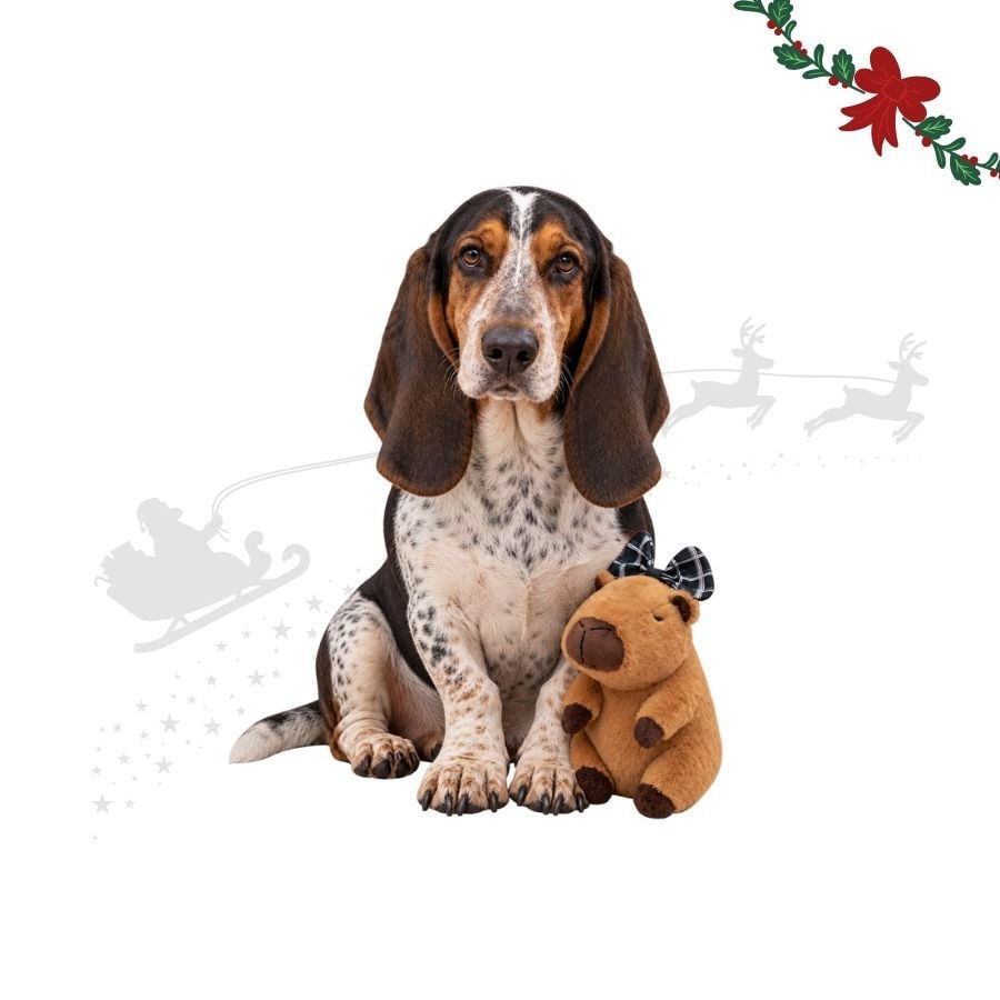 Wonder Christmas Capibara Peluche para perros, , large Imagen numero 1