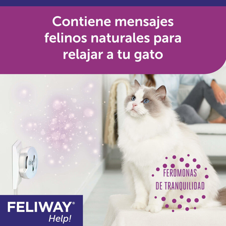 Feliway Help Difusor y Recambio con feromonas para el estr&eacute;s ocasional, , large indicador imagen numero 5