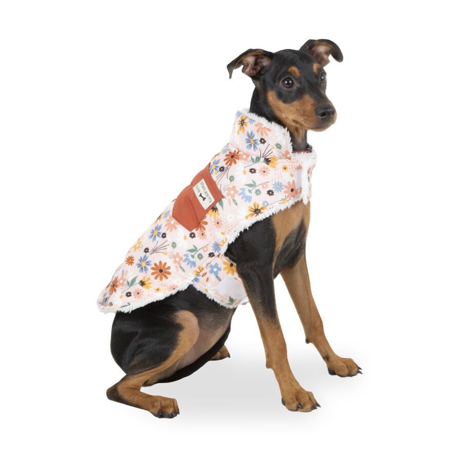 Outech Spring abrigo de flores para perros, , large Imagen numero 1