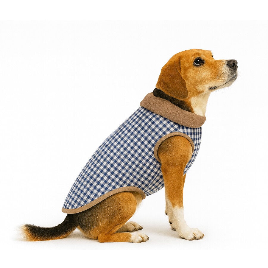 Outech Abrigo Estampado Vichy Azul para perros, , large indicador imagen numero 4