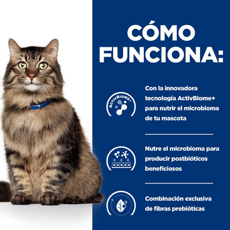 12 sobres x 85 g Hill's Prescription Diet Feline GI Biome Digestive Care Pollo y Verduras Sobre en salsa, , large indicador imagen numero 2
