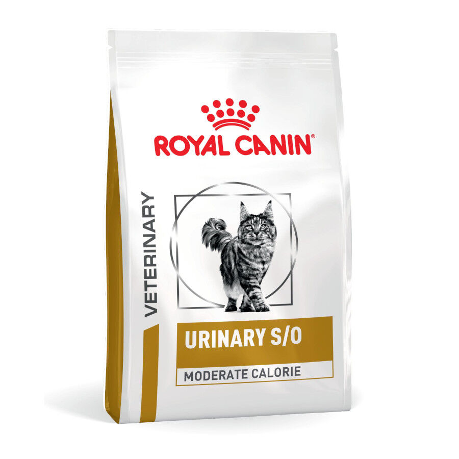 Royal Canin Veterinary Urinary S/O Moderate Calorie pienso para gatos