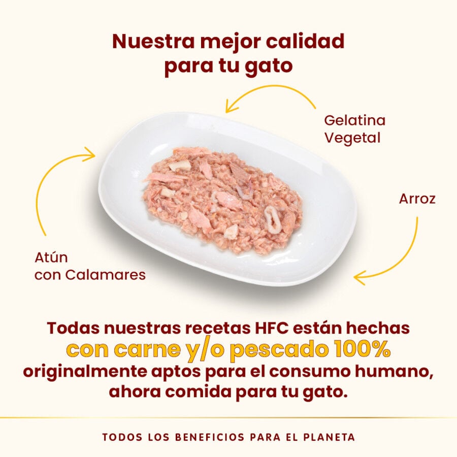 70 g Almo Nature HFC At&uacute;n y Calamares en Gelatina lata para gatos , , large Imagen numero 3