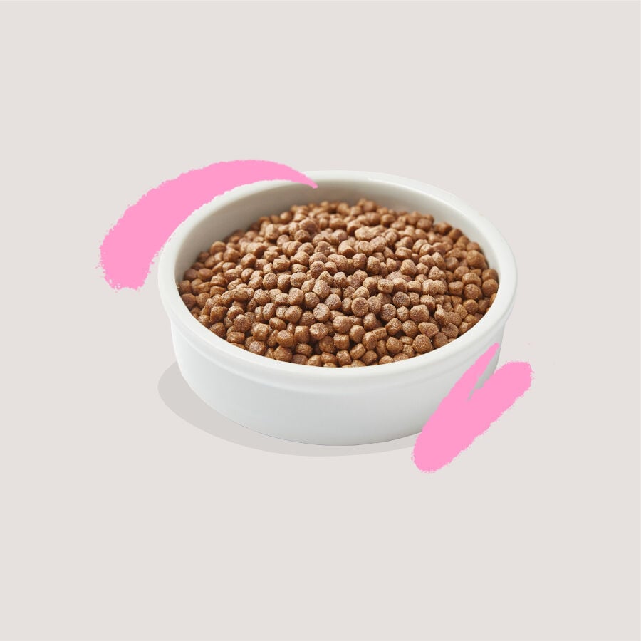 2 kg Edgard & Cooper Kitten Pato y Pollo pienso, , large Imagen numero 3