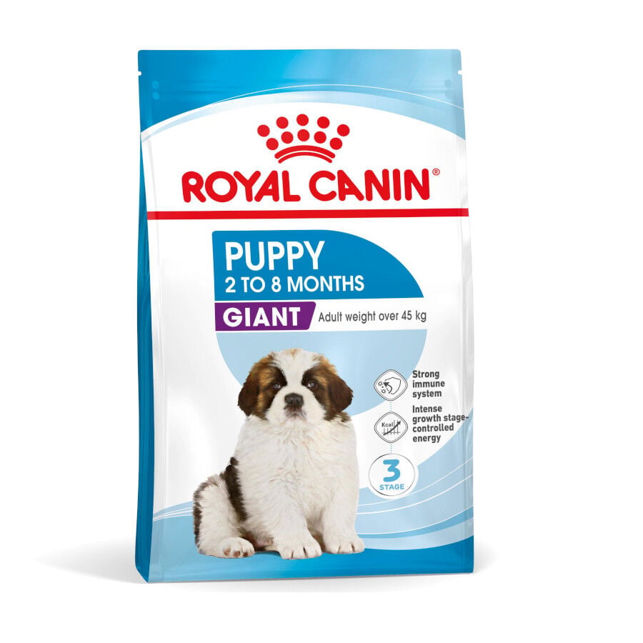 1 kg Royal Canin Puppy Giant pienso para perros, , large Imagen numero 2