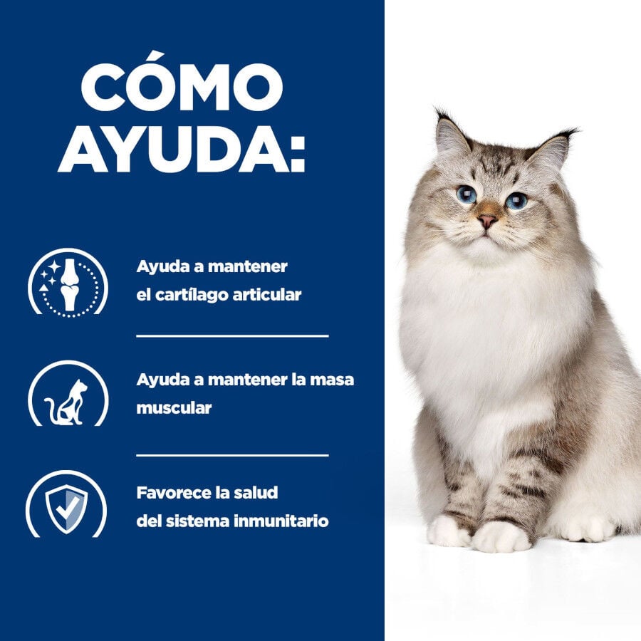 1.5 kg Hill's Prescription Diet Mobility j/d pienso para gatos, , large indicador imagen numero 4