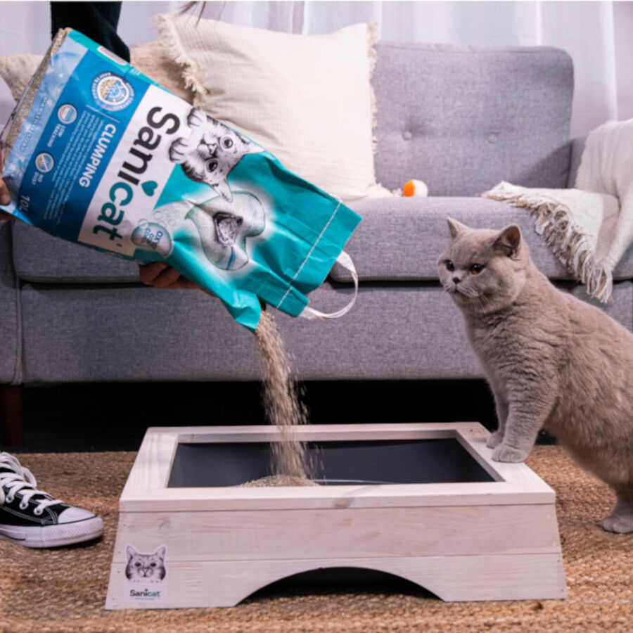 16 L Sanicat Marsella Arena Aglomerante para gatos, , large indicador imagen numero 4