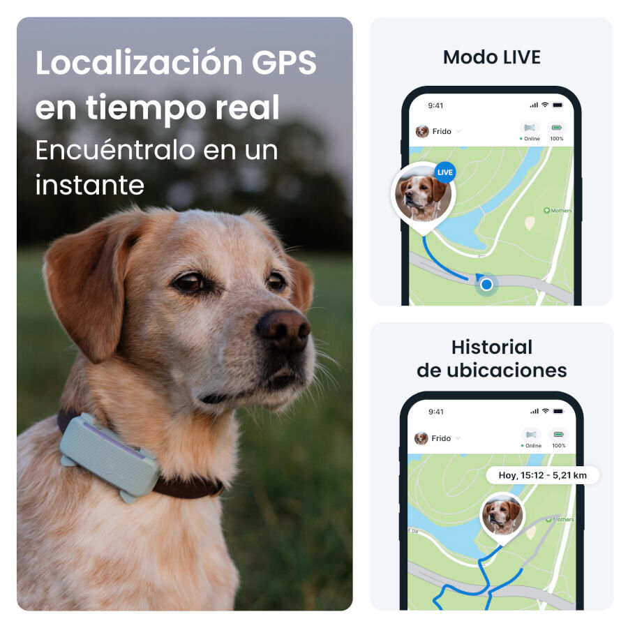 Tractive GPS Dog 6 Marr&oacute;n Rastreador para perros, , large Imagen numero 8