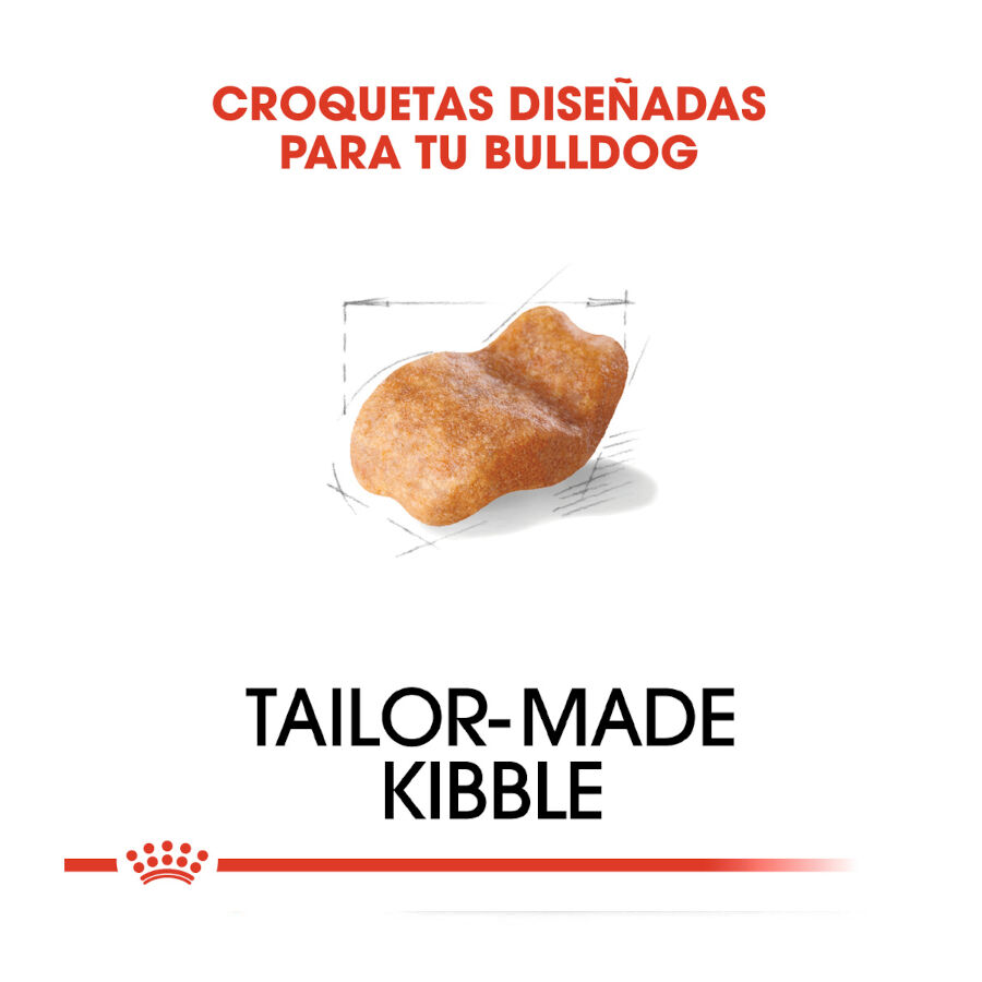 12 kg Royal Canin Adult Bulldog pienso para perros, , large Imagen numero 5