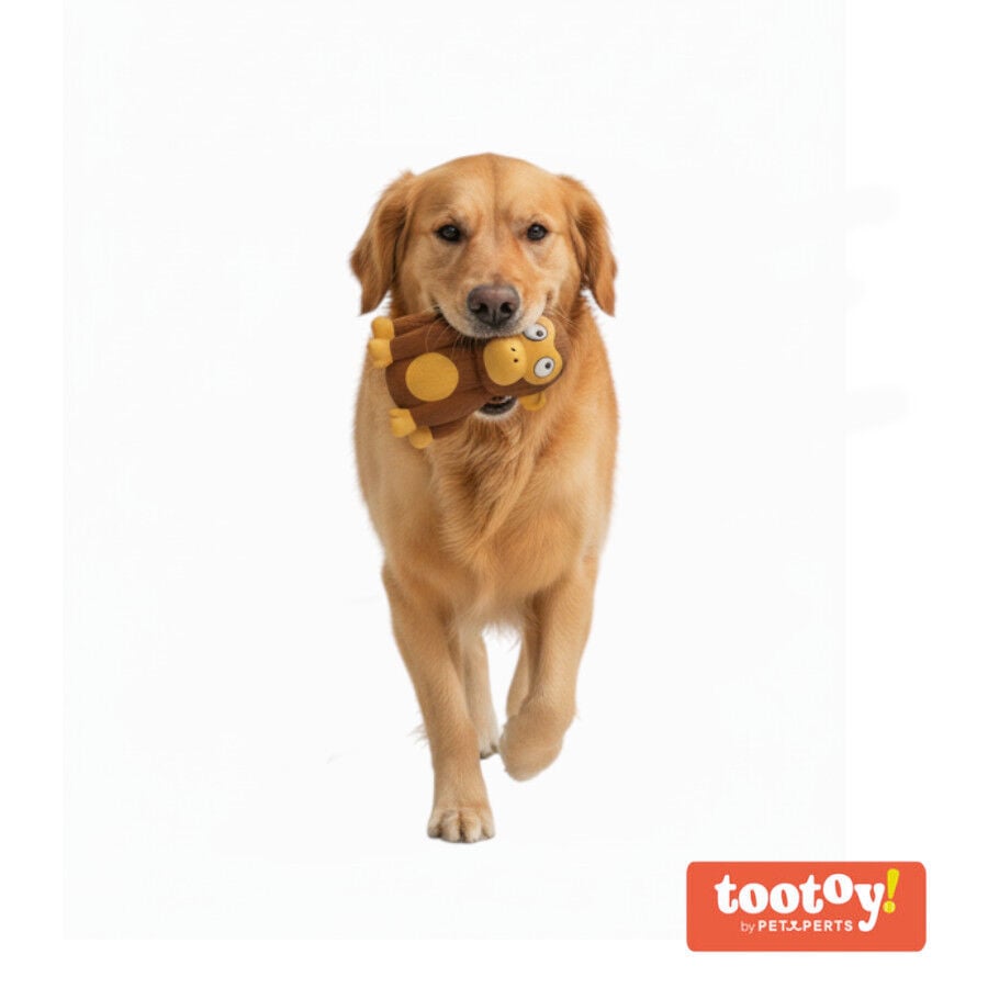 Tootoy! Chimpanc&eacute; Mordedor con Sonido para perros