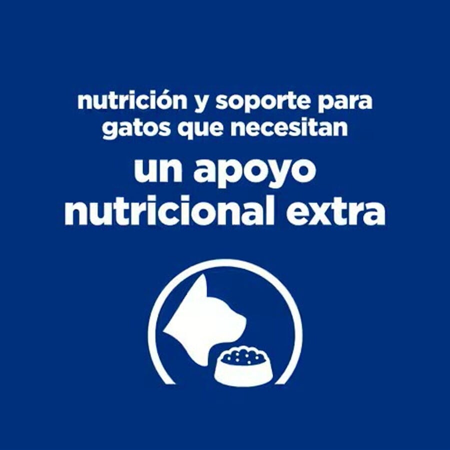 1.5 kg Hill's Prescription Diet ON-Care Pollo pienso para gatos, , large Imagen numero 4