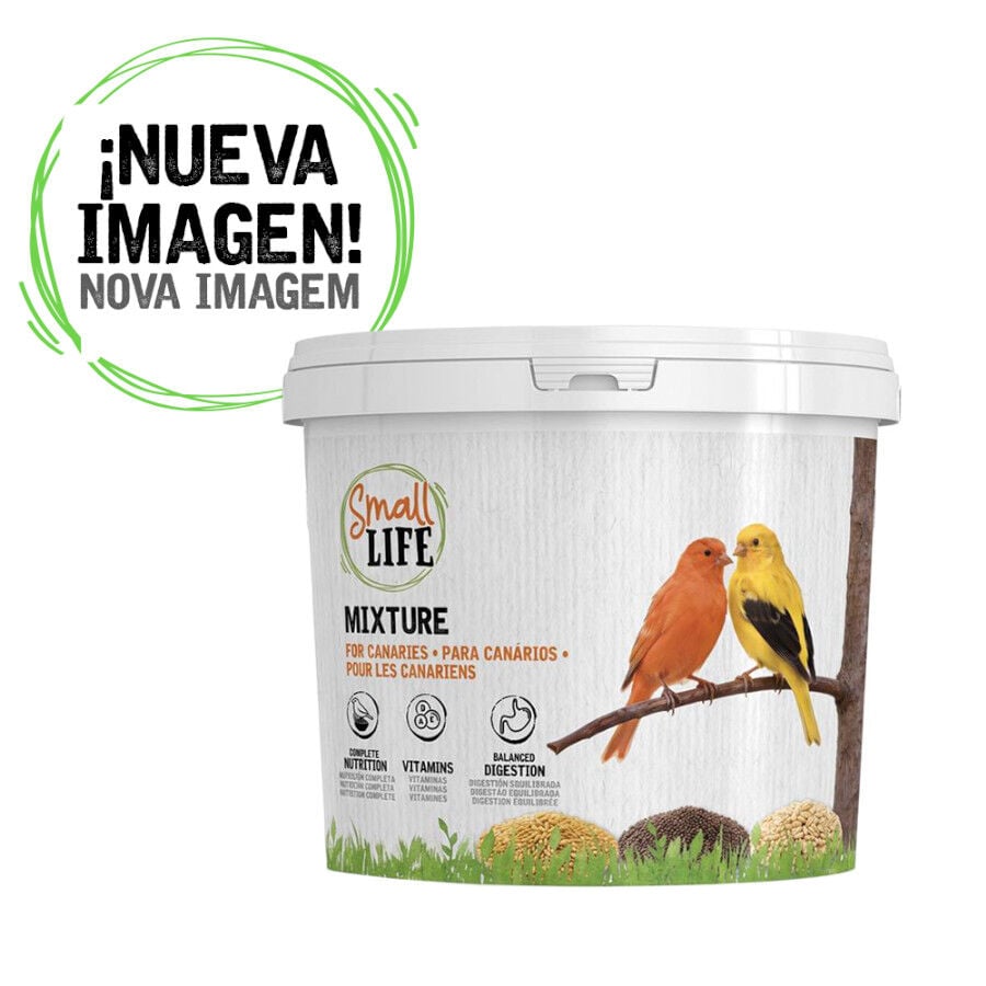 3.7 kg Small Life Mixtura Cubos para canarios, , large indicador imagen numero 1