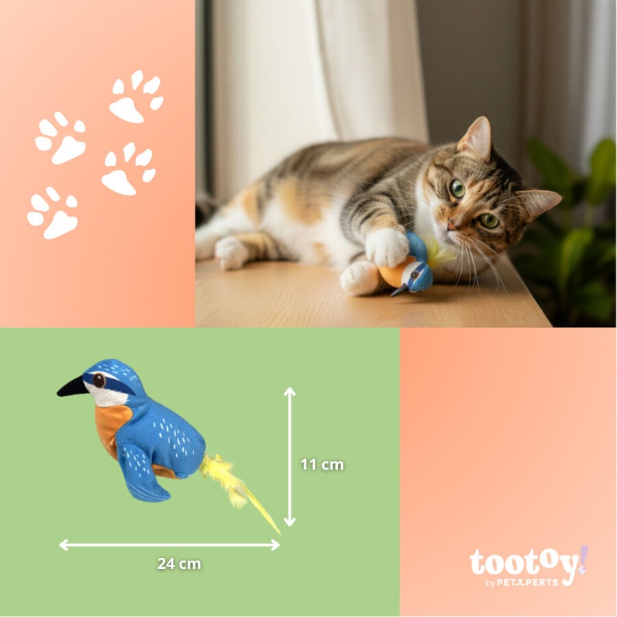 Tootoy! Peluche Interactivo de P&aacute;jaro para gatos, , large indicador imagen numero 4