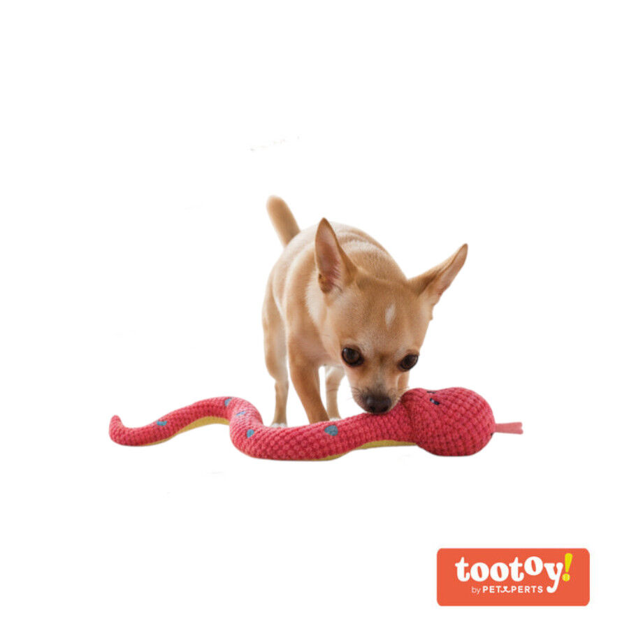 Tootoy! Serpiente Mordedor de Peluche Rosa para perros, , large Imagen numero 8