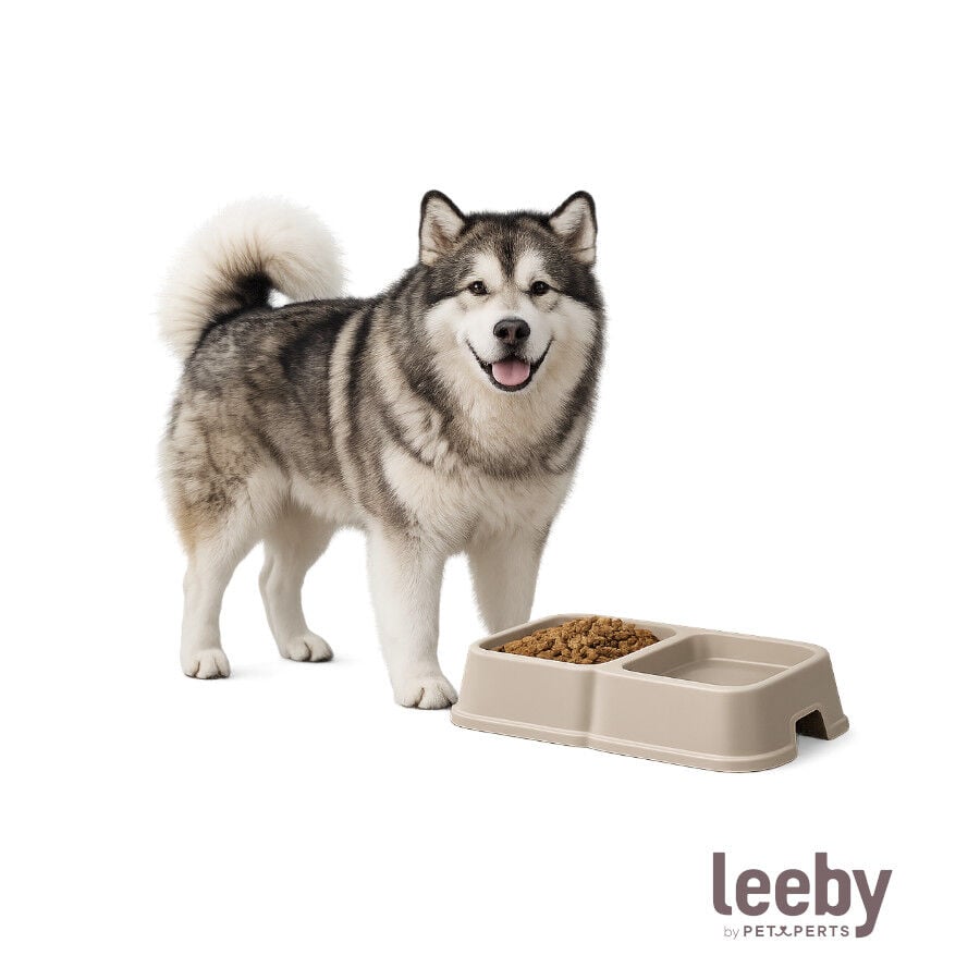 Leeby Comedero Doble Cuadrado Taupe para perros