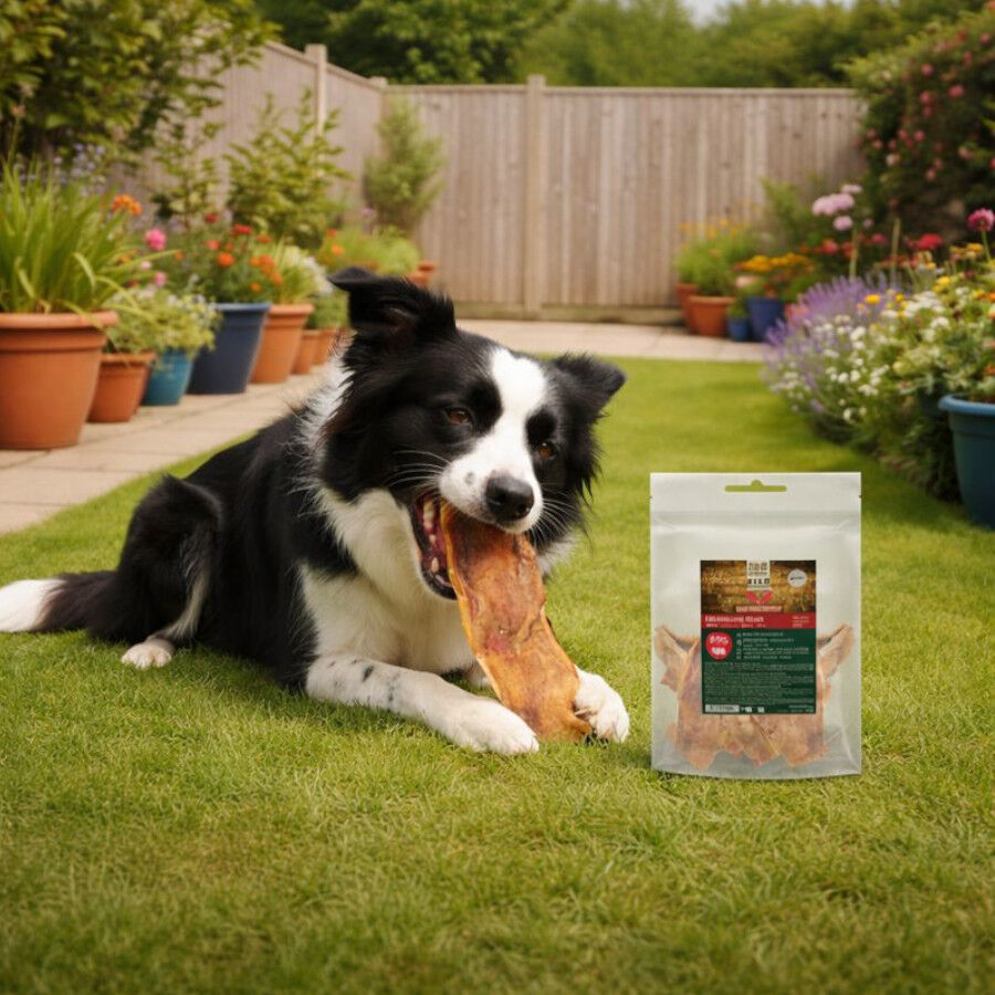 500 g True Origins Wild Tiras de Caravaca Snack para perros, , large Imagen numero 1