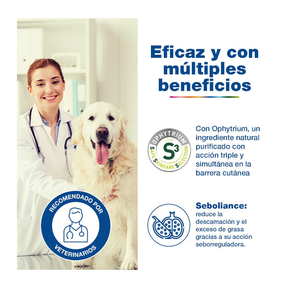 Douxo S3 Seb Champ&uacute; Piel Grasa para perros y gatos, , large Imagen numero 4