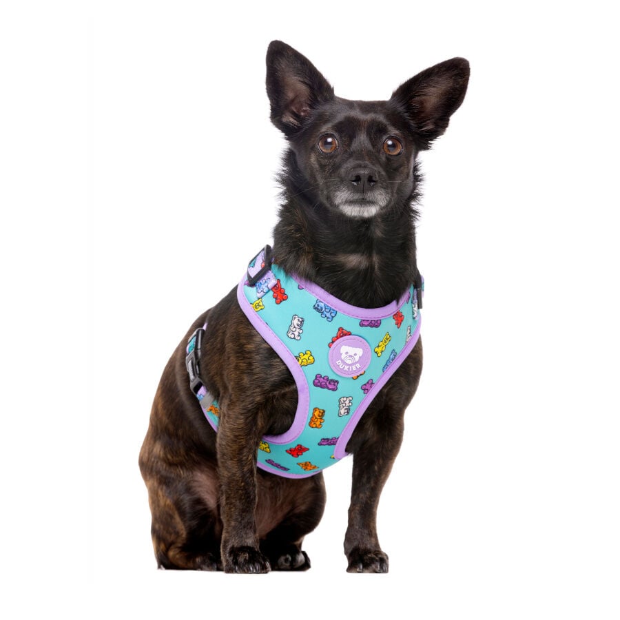 Dukier Gummy Bears Arn&eacute;s Ajustable para perros, , large indicador imagen numero 2