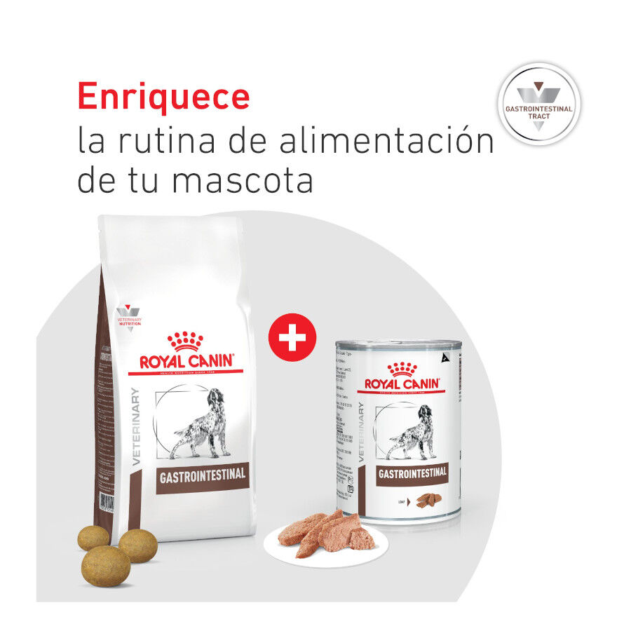 400 g Royal Canin Veterinary Diet Gastrointestinal lata para perros  , , large indicador imagen numero 8