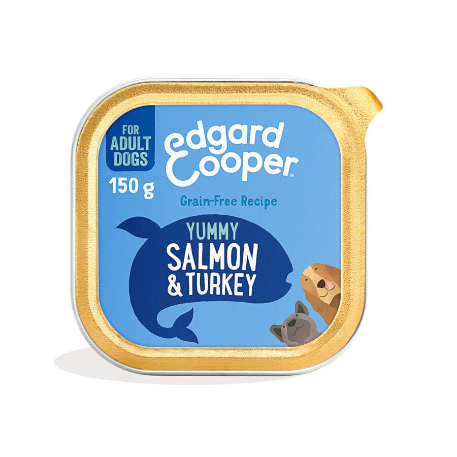 150 g Edgard & Cooper Salm&oacute;n y Pavo tarrina para perros, , large Imagen numero 1