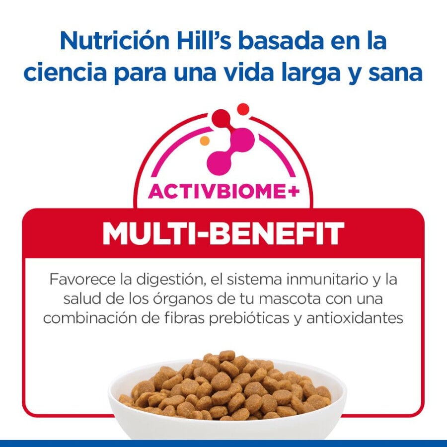 10 kg Hill's Science Plan Adult Pollo pienso para gatos, , large Imagen numero 6