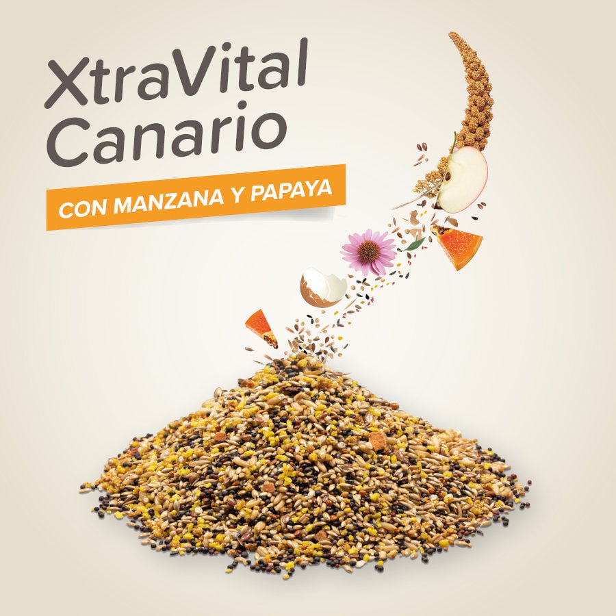 Beaphar XtraVital Premium Canarios alimento para p&aacute;jaros, , large indicador imagen numero 3