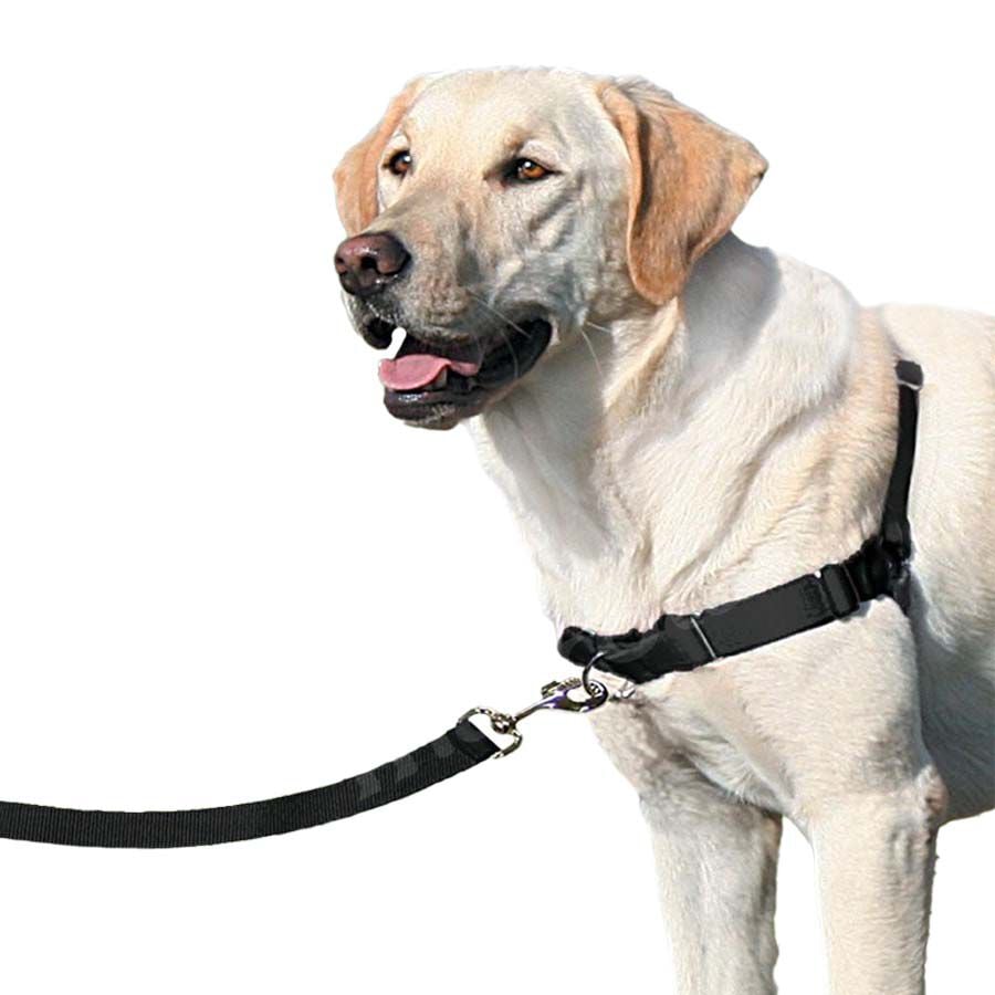 Arn&eacute;s Easy Walk de sujeci&oacute;n pectoral para perro Imagen numero 1