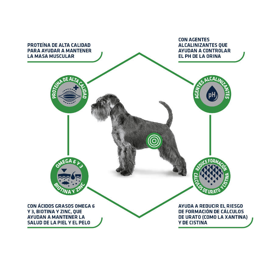 12 kg Advance Dog Leismaniasis Urinary Low Purine pienso para perros, , large indicador imagen numero 3