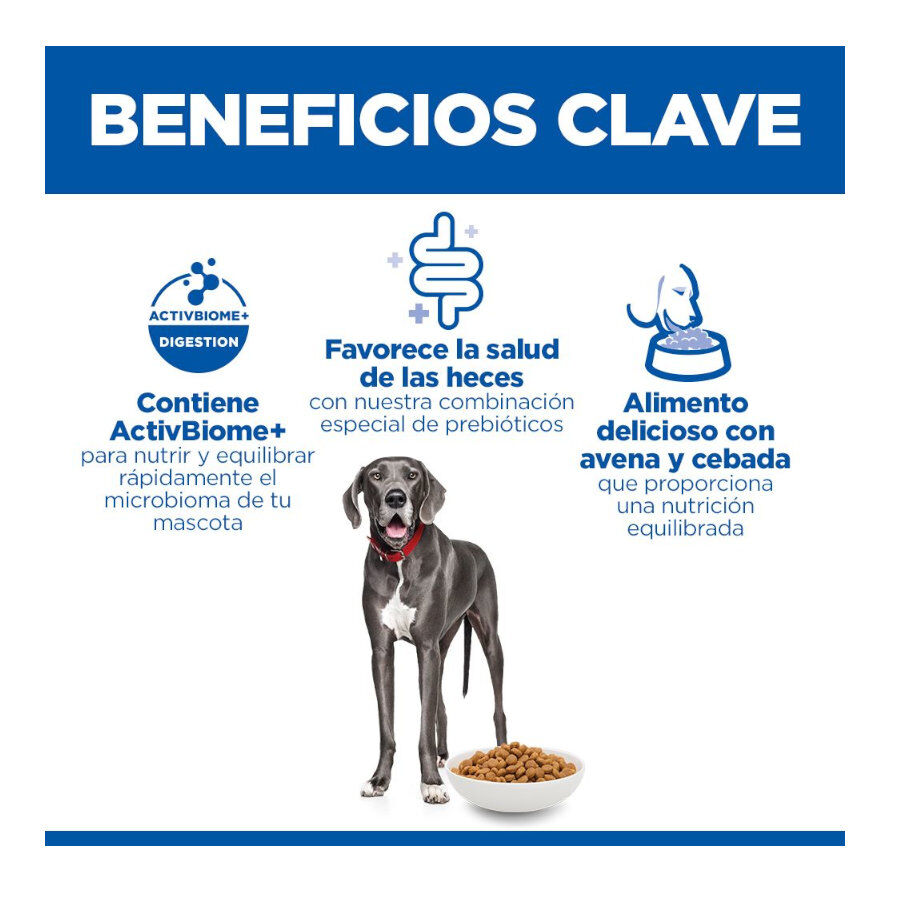 14 kg Hill's Science Plan Perfect Digestion Adult large Pollo pienso para perros, , large indicador imagen numero 3