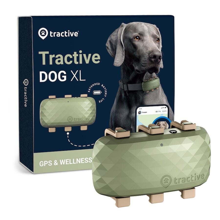Tractive GPS Localizador XL para perros, , large indicador imagen numero 1